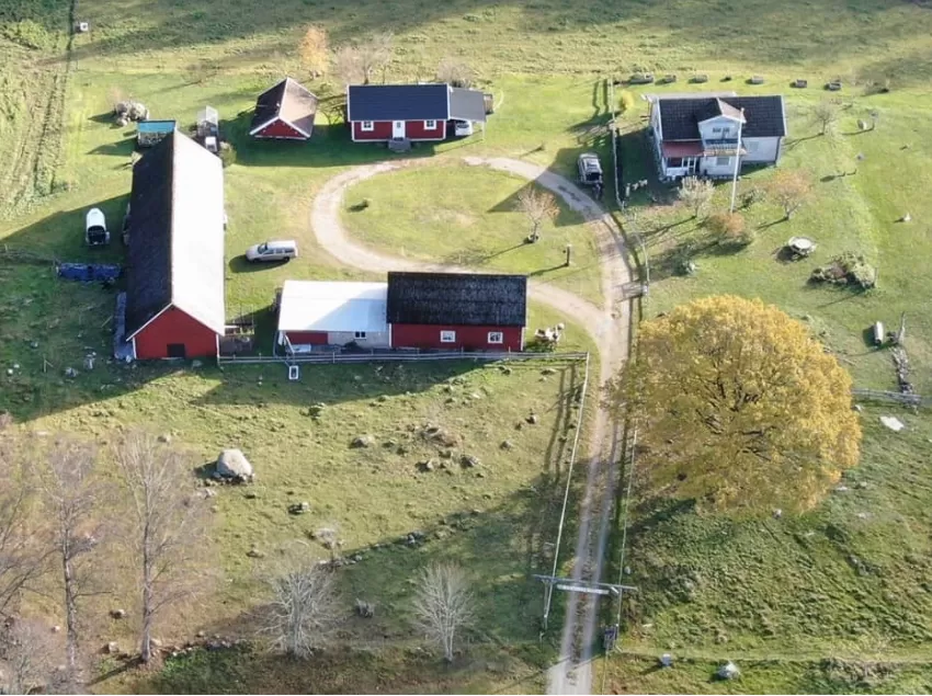 Downhill Ranch